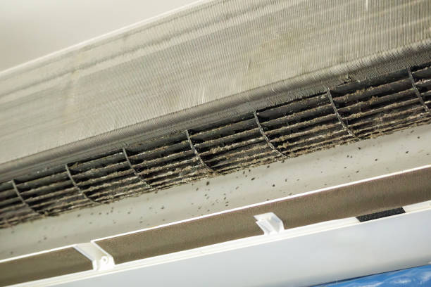 Best Air Duct Inspection  in Gluckstadt, MS